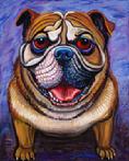 Edward the British Bulldog is in the Kvie Auction in Oct, 24,2008