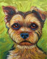 This Yorshire Terrier  makes a great pet portrait from photos. The  lime green background against the yorkie makes a great original oil painting of the pet.