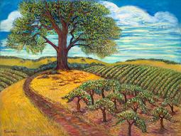 This golden hill rolling landscape of a Majestic oak overlooking a vineyard.